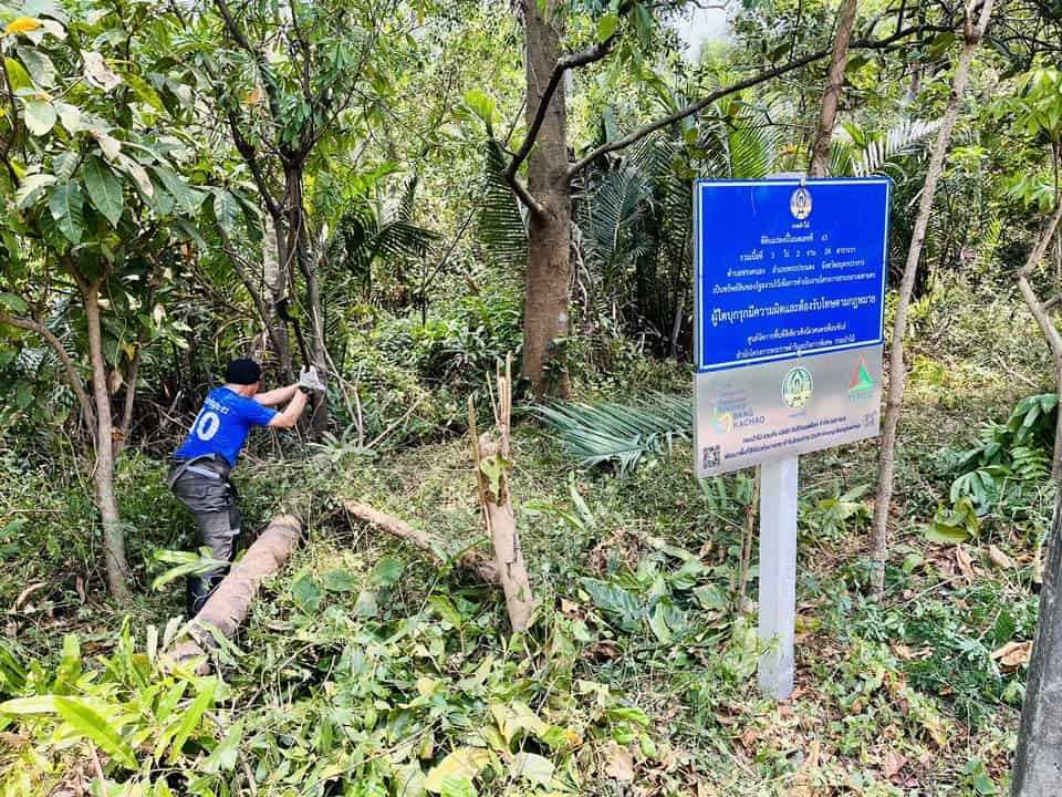 กิจกรรมโครงการป่าบางกระสอบ